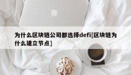 为什么区块链公司都选择defi[区块链为什么建立节点]